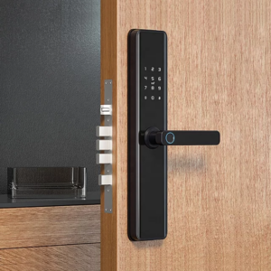 TRENDYLOCK X8 FINGERPRINT, CARD, PASSWORD, KEY & TUYA APP